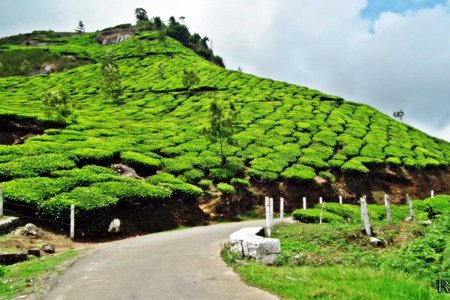 Munnar